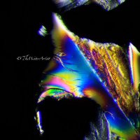 Parabolic (@parabolicnurse) 's Twitter Profile Photo Parabolic (@parabolicnurse) 's Twitter Profile Photo