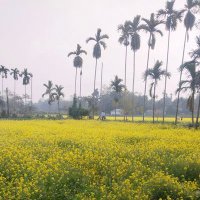 Udoy Sarkar (@smriti787898) 's Twitter Profile