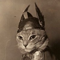 Armand Guérin (@turbociste) 's Twitter Profile Photo