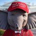 MikeyLikesIt (@trumpissuperman) Twitter profile photo MikeyLikesIt (@trumpissuperman) Twitter profile photo
