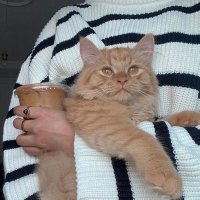 مَ (@_91me) 's Twitter Profile