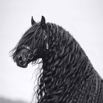 i9r19's profile picture. لا إله إلا الله ، محمد رسول الله