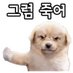 강대리 (@aphnsk) Twitter profile photo 강대리 (@aphnsk) Twitter profile photo