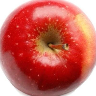 Fruit_Sa1ad's profile picture. 19 ☆ R+D truther ☆ 🇬🇷🇦🇱