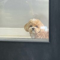 Rogi (@tpelrt) 's Twitter Profile