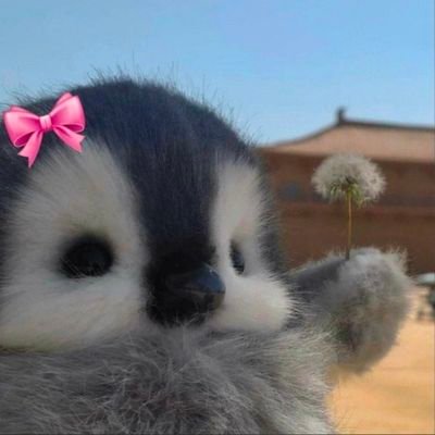 RachelQ86841's profile picture. 
