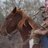 Anne_Hawkins_'s profile image