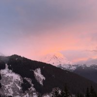 shadow (@shadowslam3) 's Twitter Profile