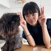 ゆる (@manarudayo_) 's Twitter Profile Photo ゆる (@manarudayo_) 's Twitter Profile Photo