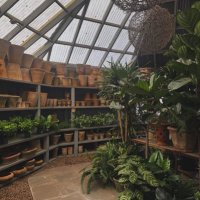 jen (@jjmlane) 's Twitter Profile