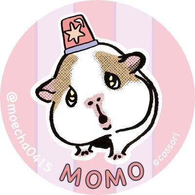 ちゃちゃさんのプロフィール画像