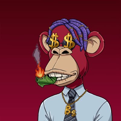 camychira's profile picture. captured with care