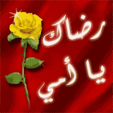 HmemRachid's profile picture. 