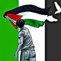 abed albohisi (@abedalbohisi) 's Twitter Profile