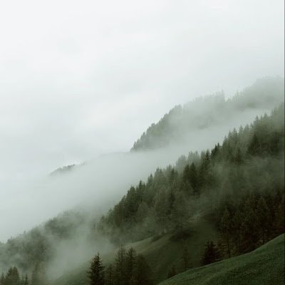 boufalja_z98658's profile picture. 