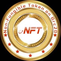 Brc20.nft (@nft_brc20) 's Twitter Profile