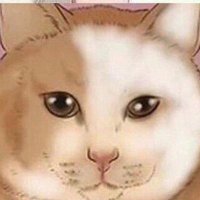 Devoon (@devoonstaccfan) 's Twitter Profile