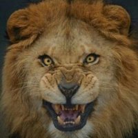 elfelinofelix (@elfelinofelix) 's Twitter Profile Photo elfelinofelix (@elfelinofelix) 's Twitter Profile Photo