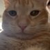 Margounette🦋 (@margotte297) Twitter profile photo Margounette🦋 (@margotte297) Twitter profile photo