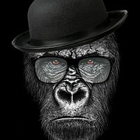 Bonz (@bonzmeme) 's Twitter Profile Photo Bonz (@bonzmeme) 's Twitter Profile Photo