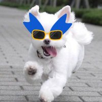 νμ΄ν° π±π’πππ¬ (@_20020401_) 's Twitter Profile