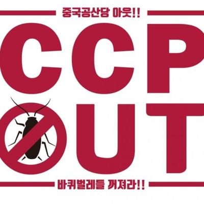 bluwing0819's profile picture. X is Right.