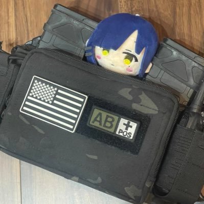 サバゲー歴6年の高校生です ギターベース弾いてます🎸ロードバイクも乗ってるよ!フォロバは気づいたらしてます
