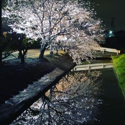 SAKAKI_RINNE's profile picture. 