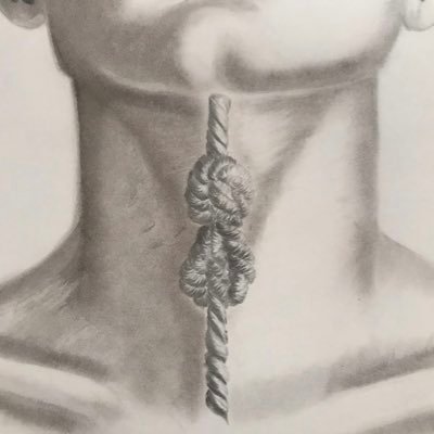 نوف عبدالله 🇸🇦さんのプロフィール画像