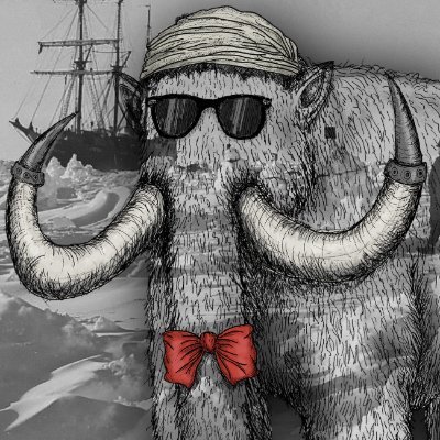 danbir0815's profile picture. @union_build