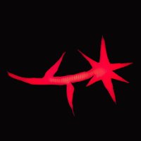 Wull (@wullband) 's Twitter Profile