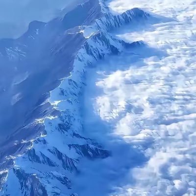 liry_likuta's profile picture. 