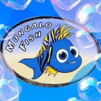 Mungalo Fish (@mungalofish) 's Twitter Profile Photo