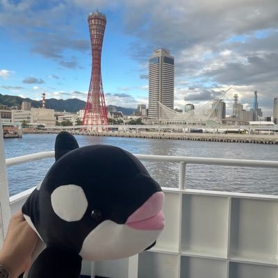 Nこさんのプロフィール画像