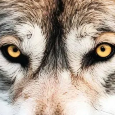emporio1638885's profile picture. 