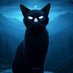 CatSith (@whitecatsith) Twitter profile photo CatSith (@whitecatsith) Twitter profile photo
