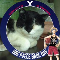 Seven of Data ★子 🏴☠💜 (@7ofdata) 's Twitter Profile