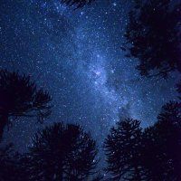 Nuray (@silencexnight) Twitter profile photo