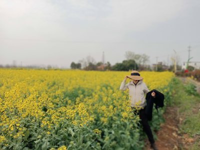 ZhaoJ39967's profile picture. 100%互