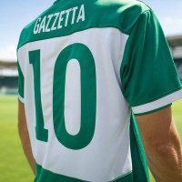 Harald Gazzetta (@haraldgazzetta) 's Twitter Profile Photo Harald Gazzetta (@haraldgazzetta) 's Twitter Profile Photo