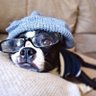 manlikeroot's profile picture. Lover of technology, arts and design. A writer of computer code and sometimes they make grown men cry but we love it.