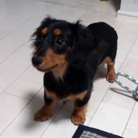 kani (@kani33503561008) Twitter profile photo