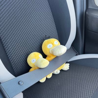 コダックの こだよ と こだり とお出かけしたり✈️食べたり🍚呑んだり🍺 行った日から投稿までラグがあります #ポケモンfit #コダック