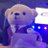 rain_ikebukuro's profile image