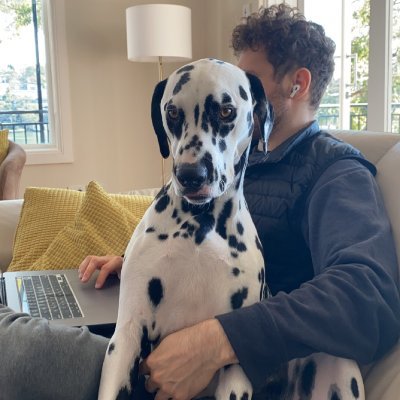 Dalmatian enthusiast; and Cyber Incident Responder.