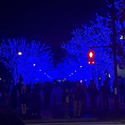 shionwantbe's profile picture. 🇯🇵✖︎🇬🇧 広告代理店にいます  LAPでEC系のの広告運用やってます