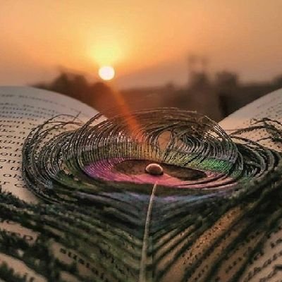 V_koriya12's profile picture. Aspirant 
#यत्र_योगेश्वरः_कृष्णो