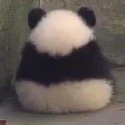 lpoさんのプロフィール画像