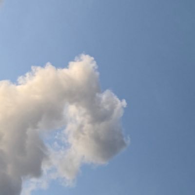 bamseraiii's profile picture. SOWK