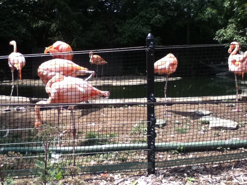 mcaruso1275's profile picture. Proud alum THE Ohio State University